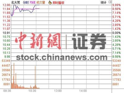 土地流转概念股受追捧 北大荒、中兴商业涨停-中新网