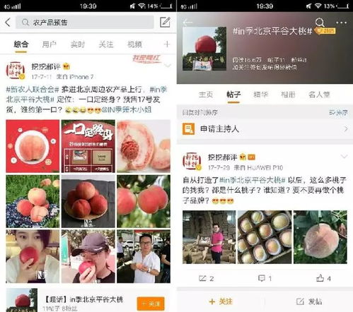 农产品微博营销模式分析及展望